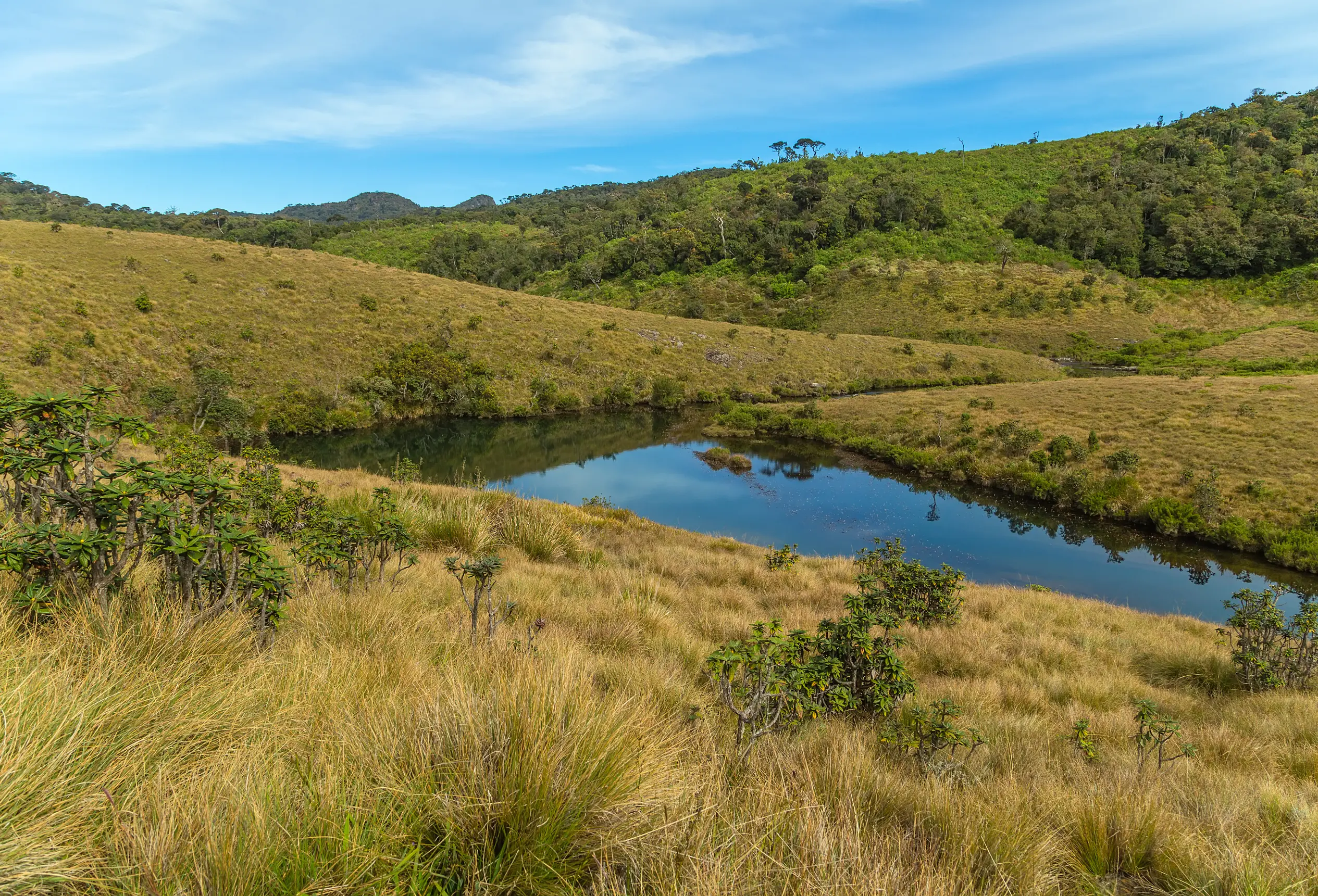 Horton Plains & Scenic Train Journey