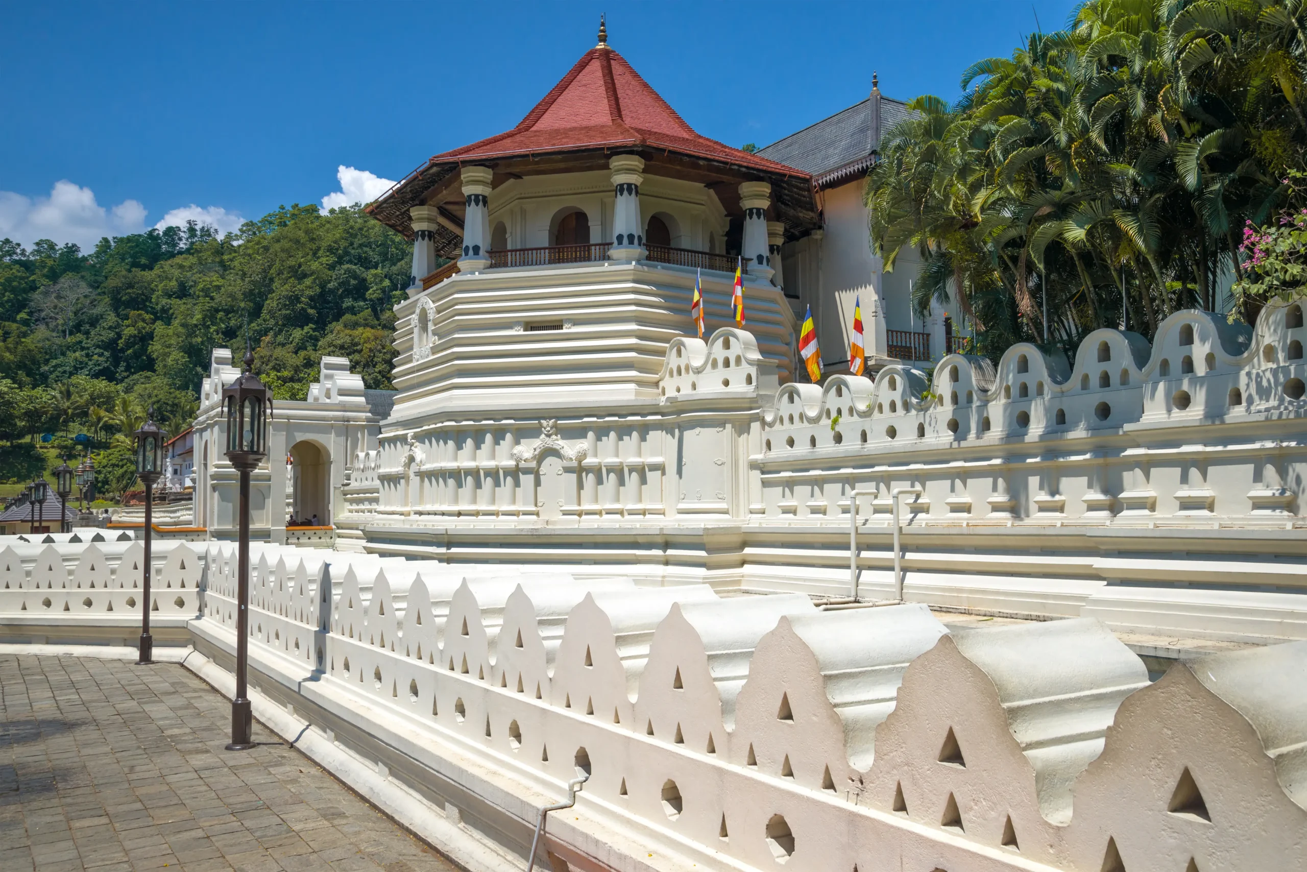 Udawattakele Nature Reserve & Kandy