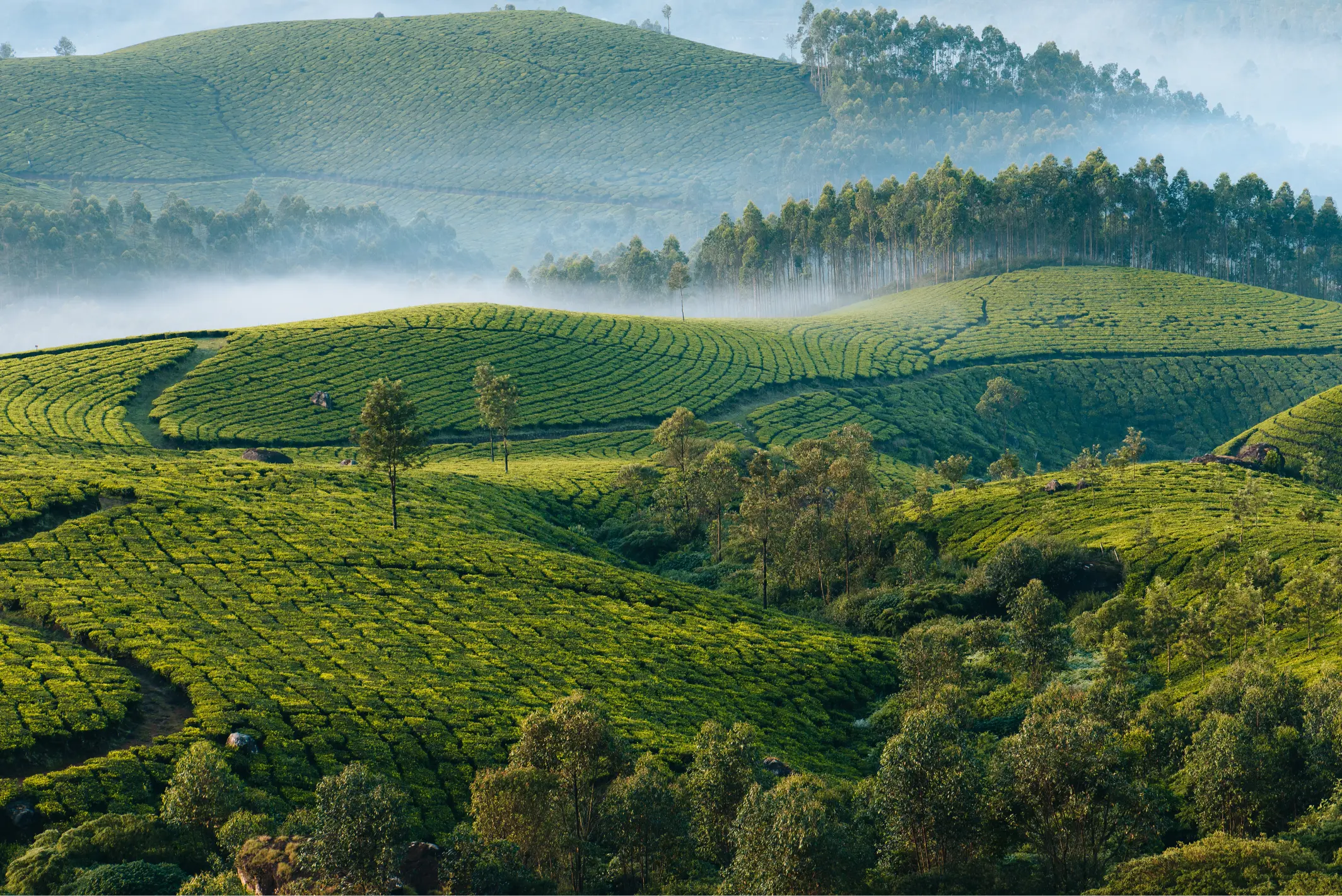 Mountains in Sri Lanka