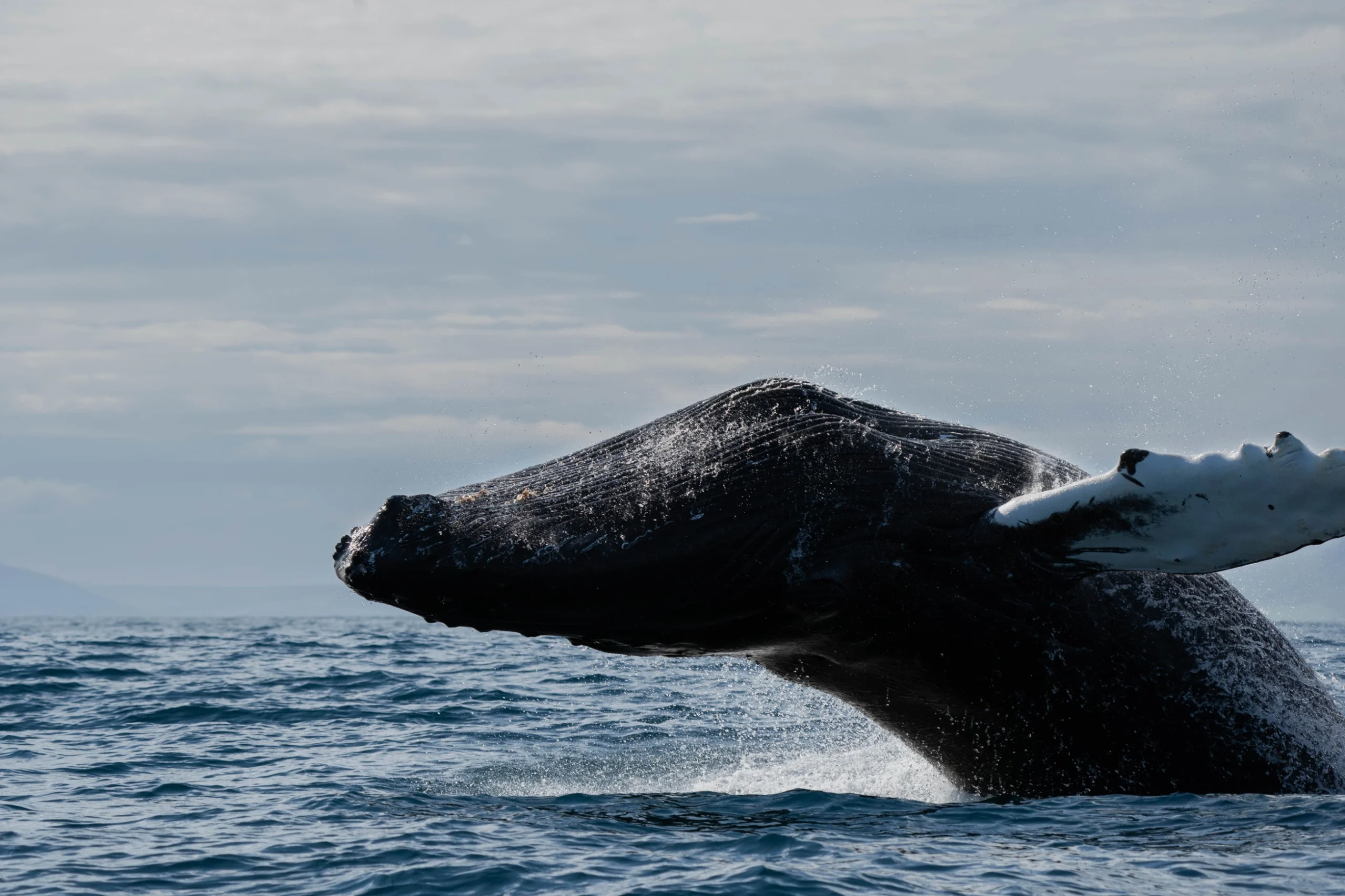 Southern Coast Relaxation & Optional Excursions