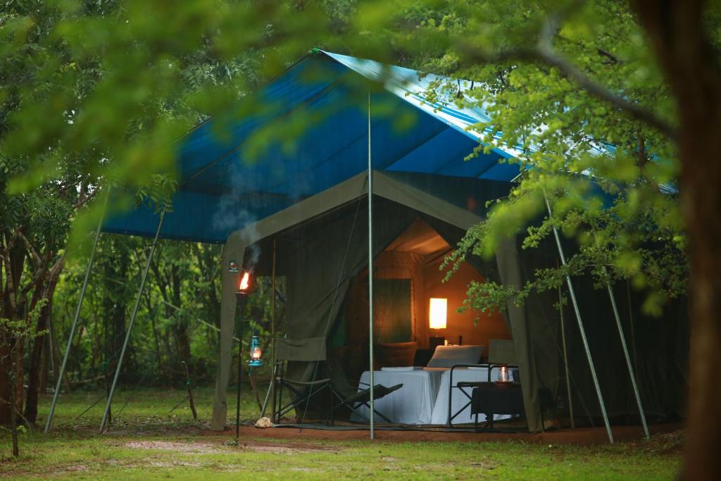 An outdoor twilight view of eco team camping featuring a luxury canvas safari tent with a blue rainfly, warm interior lighting, a made bed, and surrounding dense green jungle foliage in Sri Lanka