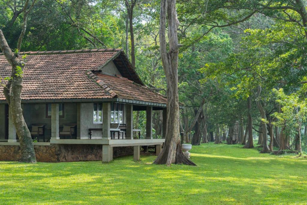 An outdoor daytime view of Cinnamon Village featuring a traditional bungalow with a tiled roof and open veranda, set against a lush green lawn and dense woodland trees in Sri Lanka