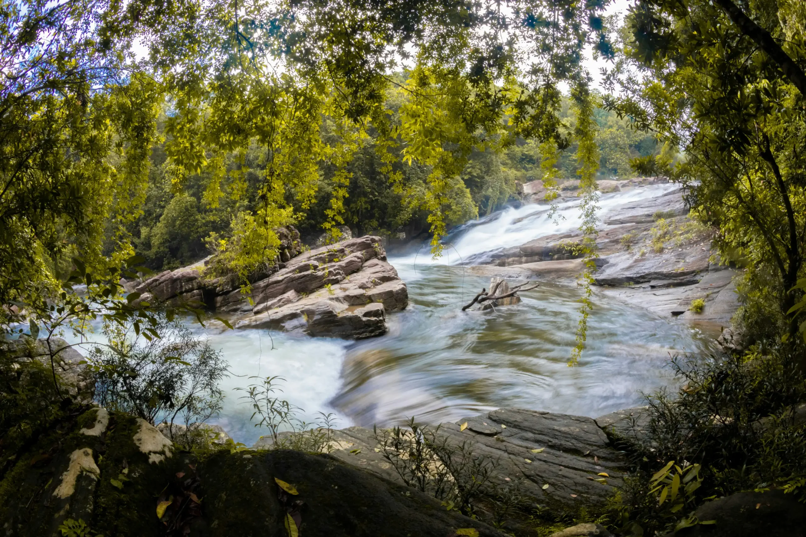 Kitulgala river and rainforest