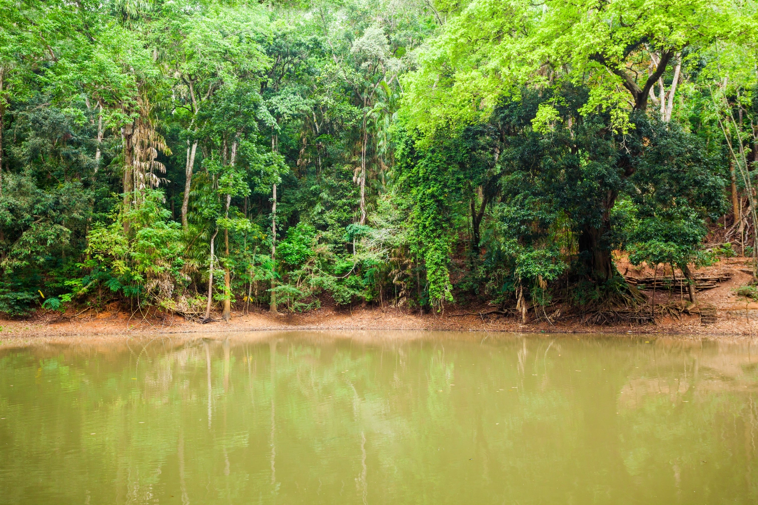 Dambana & The Vedda People