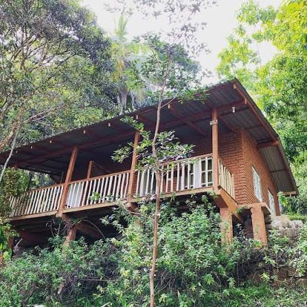 An outdoor low-angle daytime view of a rustic eco-lodge chalet with a wooden balcony and tiled roof nestled among dense green foliage and trees in Sri Lanka