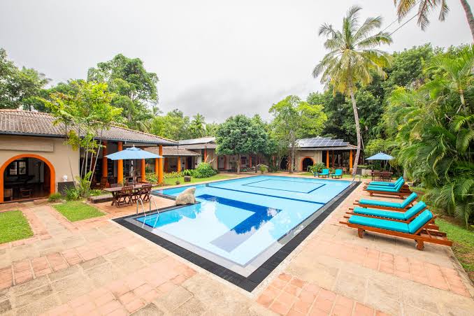 An outdoor daytime view of Ging Oya Eco Lodges featuring a sparkling swimming pool, sun loungers, and lush tropical greenery along the river in Negombo, Sri Lanka