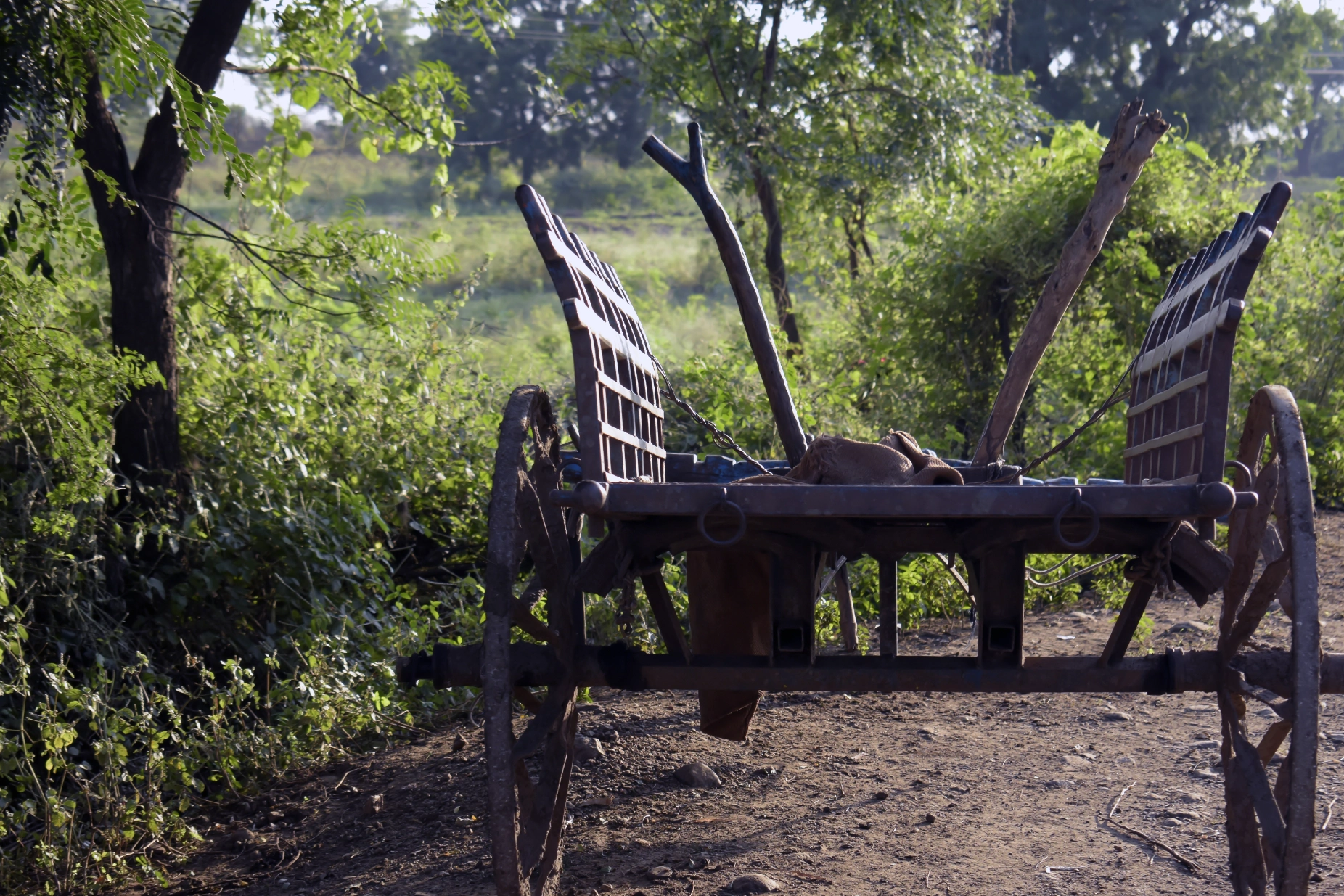 Polonnaruwa & Hiriwadunna Village Experience