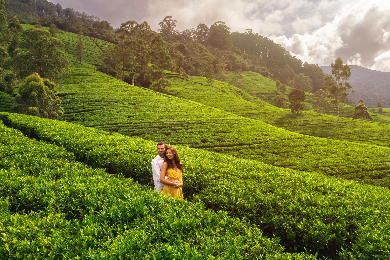 Kandy & Nuwara Eliya